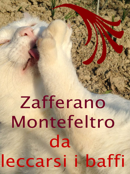 Zafferano Montefeltro 2020