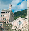 Zafferano Montefeltro a Gubbio maggio 2012