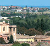 Zafferano Montefeltro a San Giovanni in Marignano, Rimini 2012